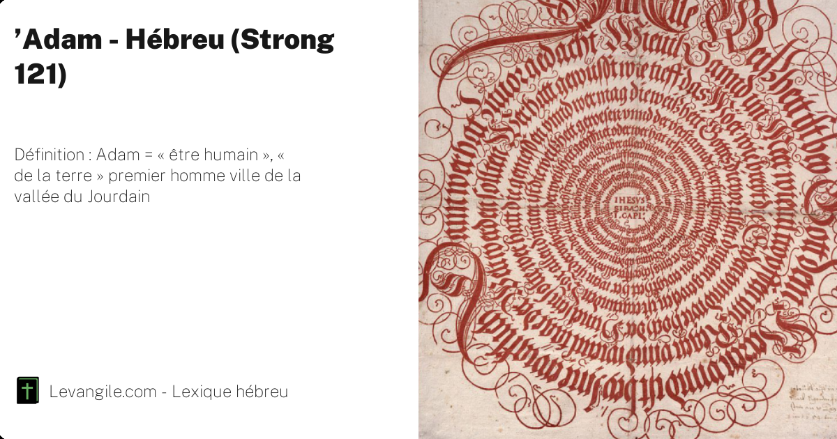 'Adam en hébreu signifie Adam = « … dans la Bible